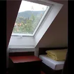 Traube Dettingen an der Erms