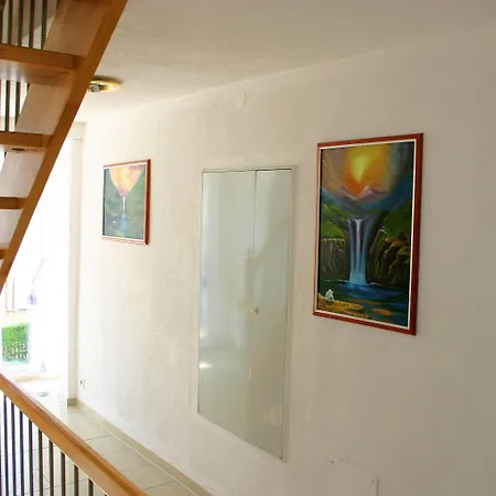 Traube Dettingen an der Erms