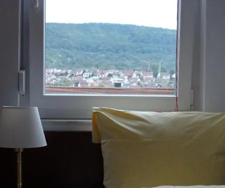 Traube 3* Dettingen an der Erms